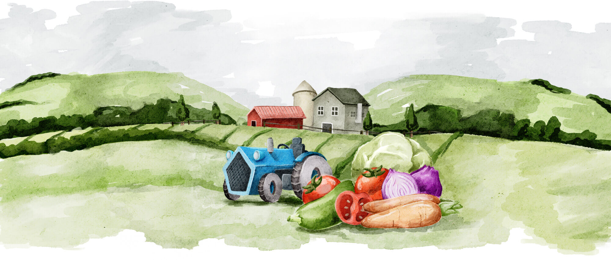 Organic-Farming-Illustrations-01 Organic Farming Illustrations 01