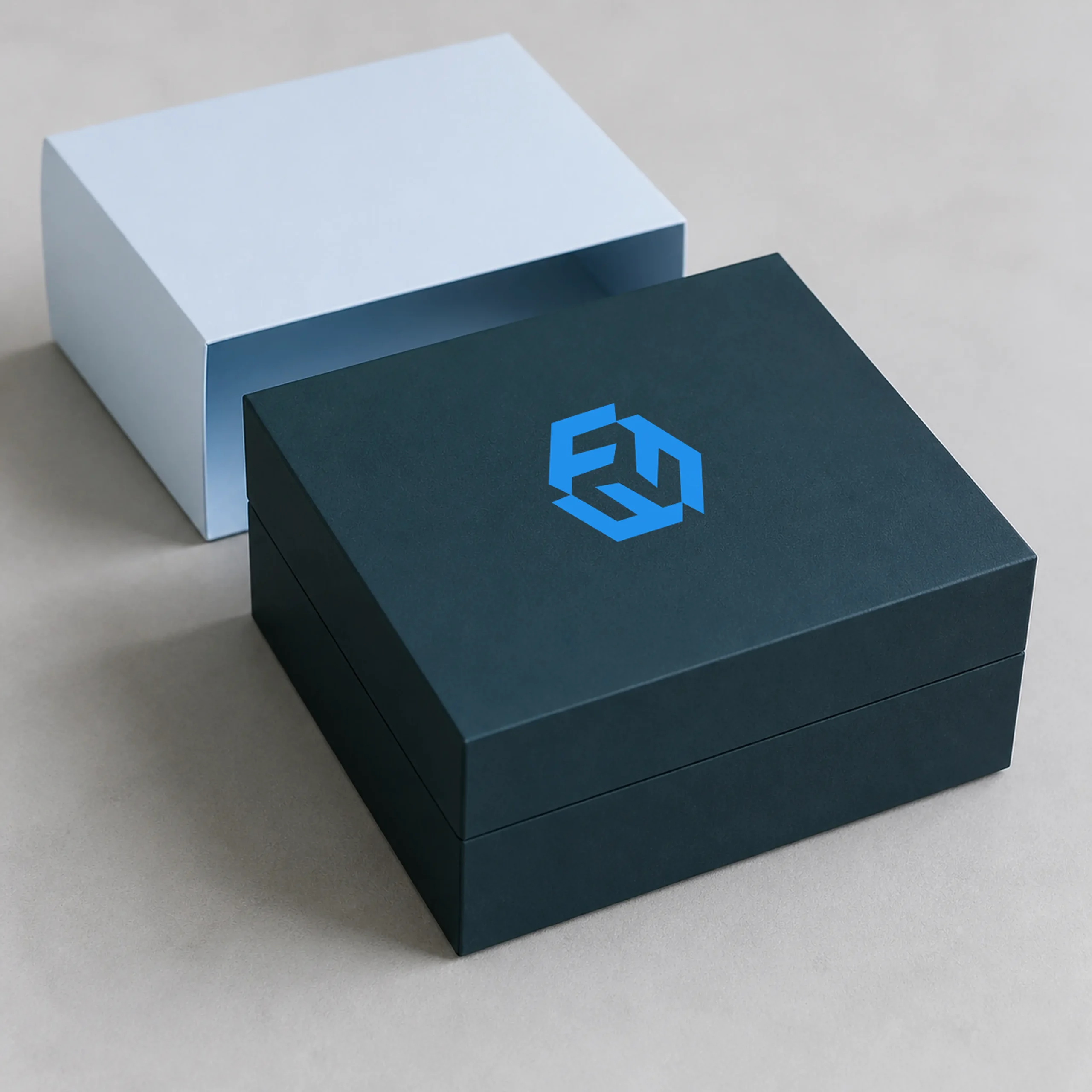 Future Innovations Corp. project work